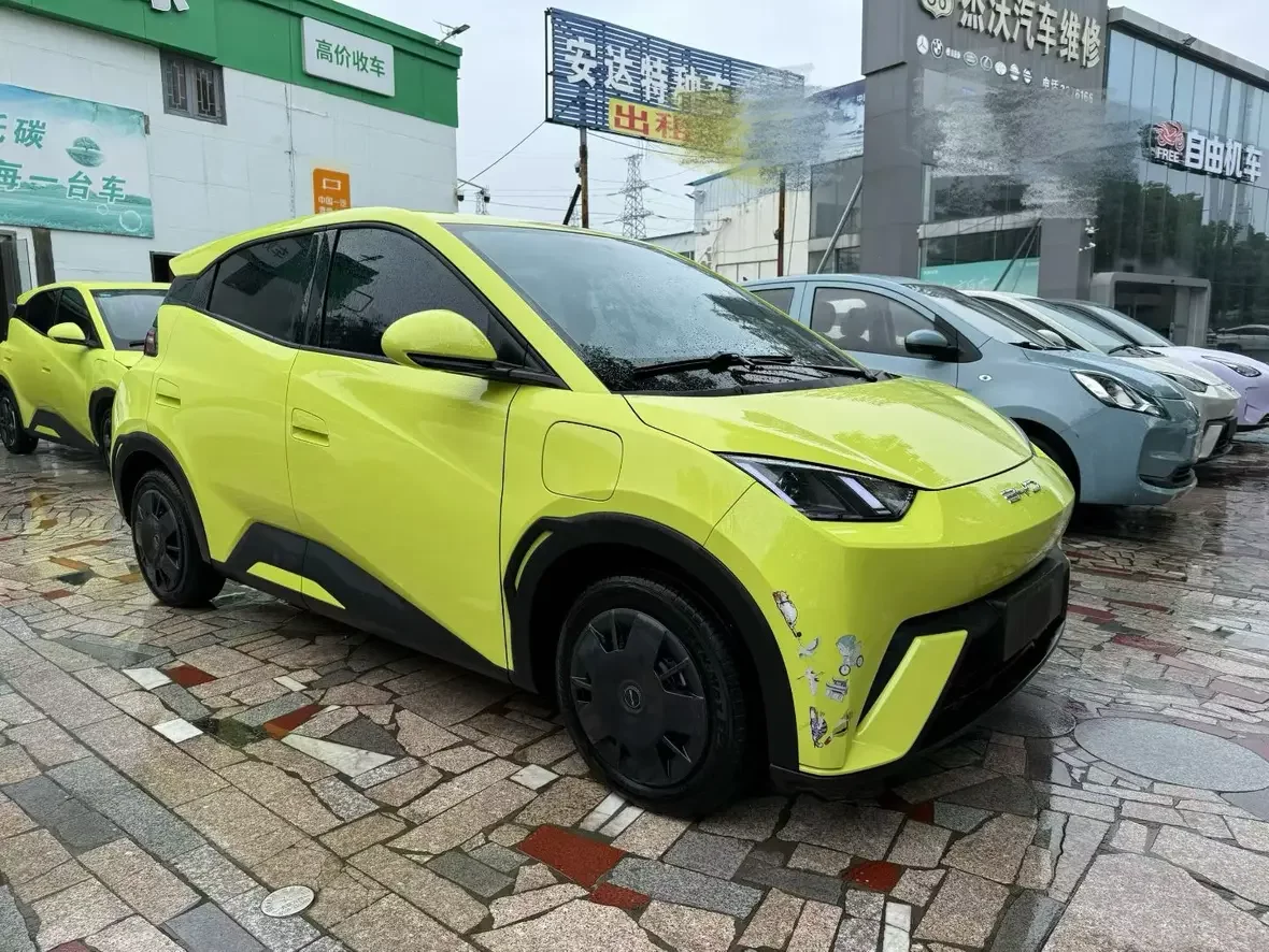 BYD seagull