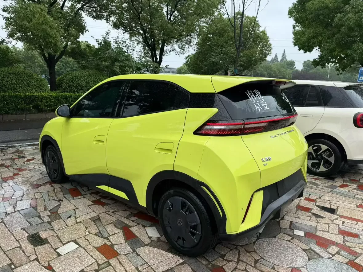 BYD seagull