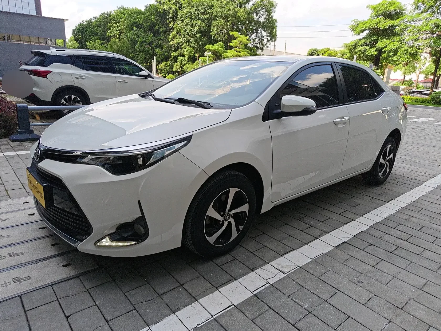 Toyota Levin