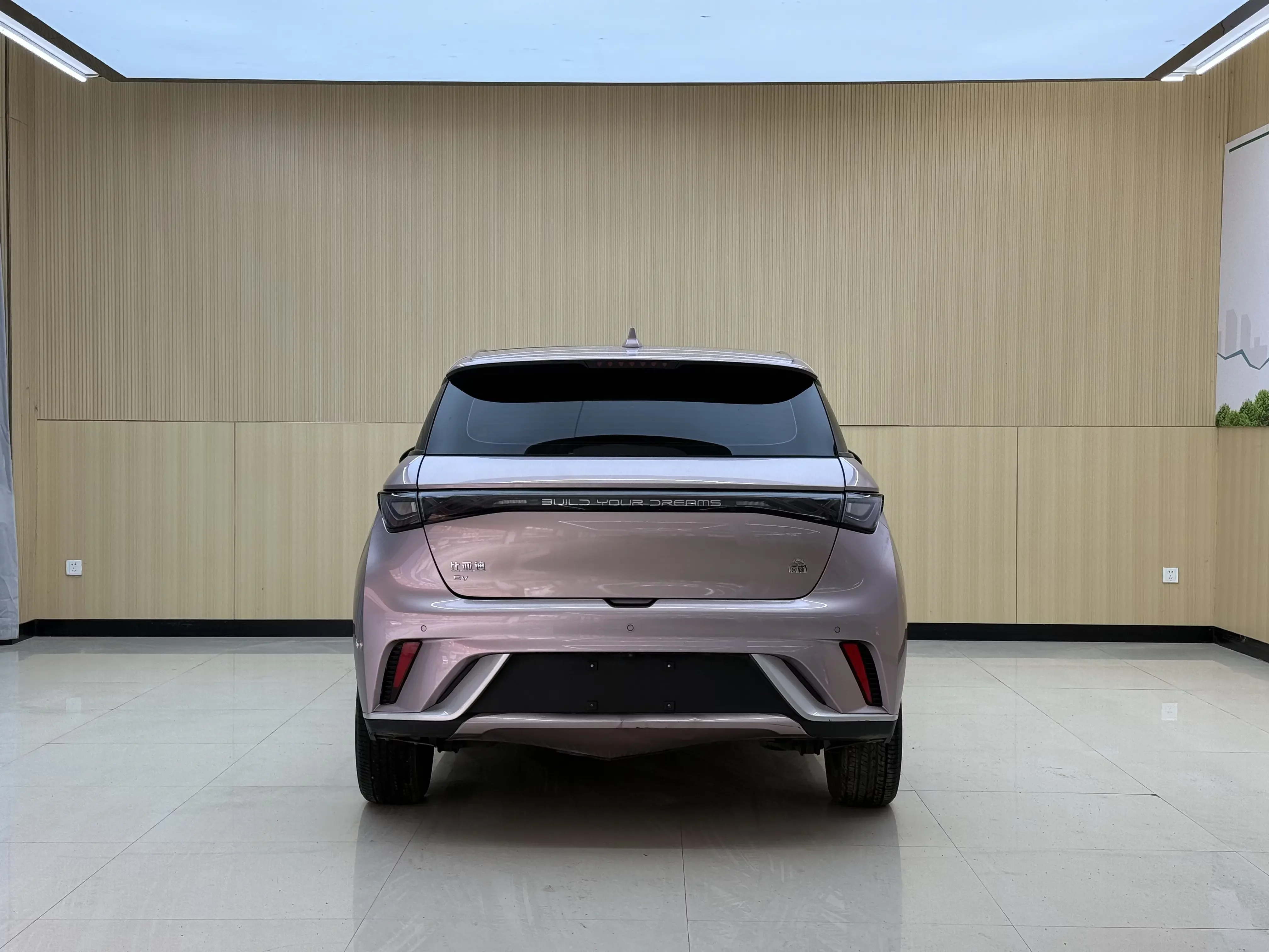 BYD dolphin