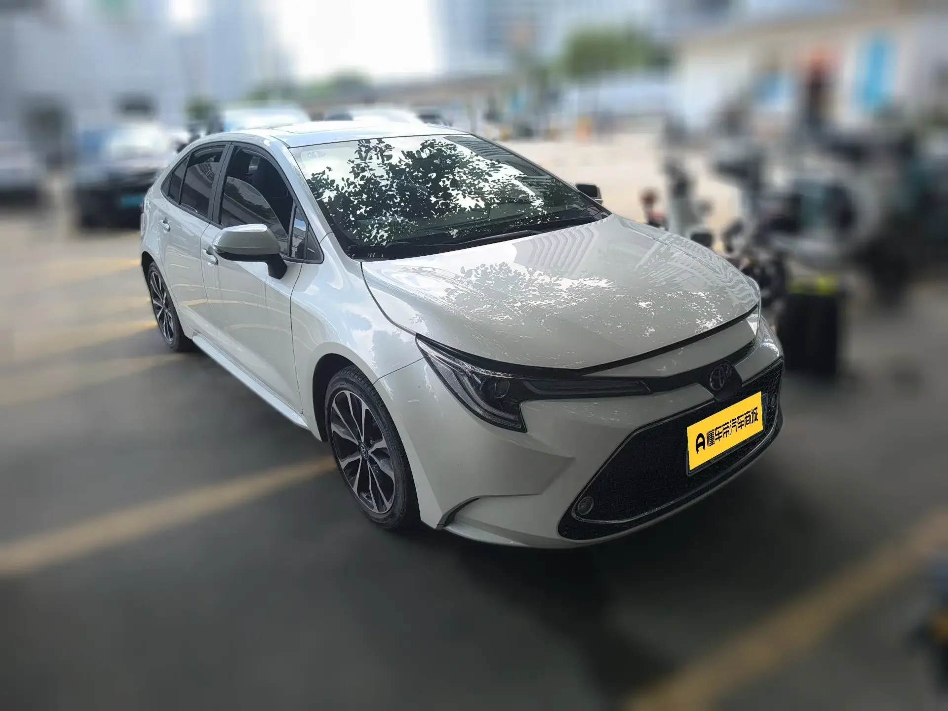 Toyota Levin