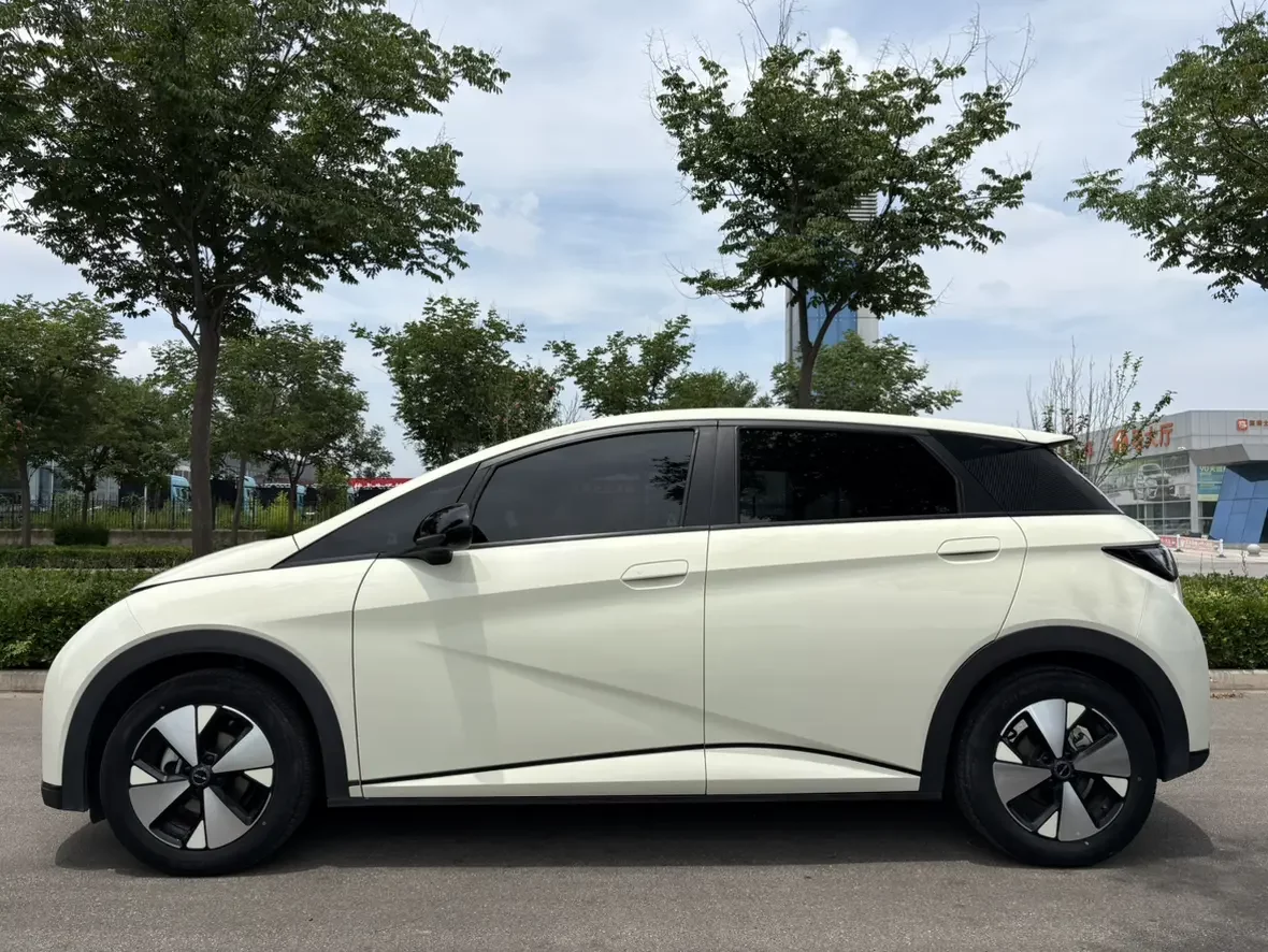 BYD dolphin