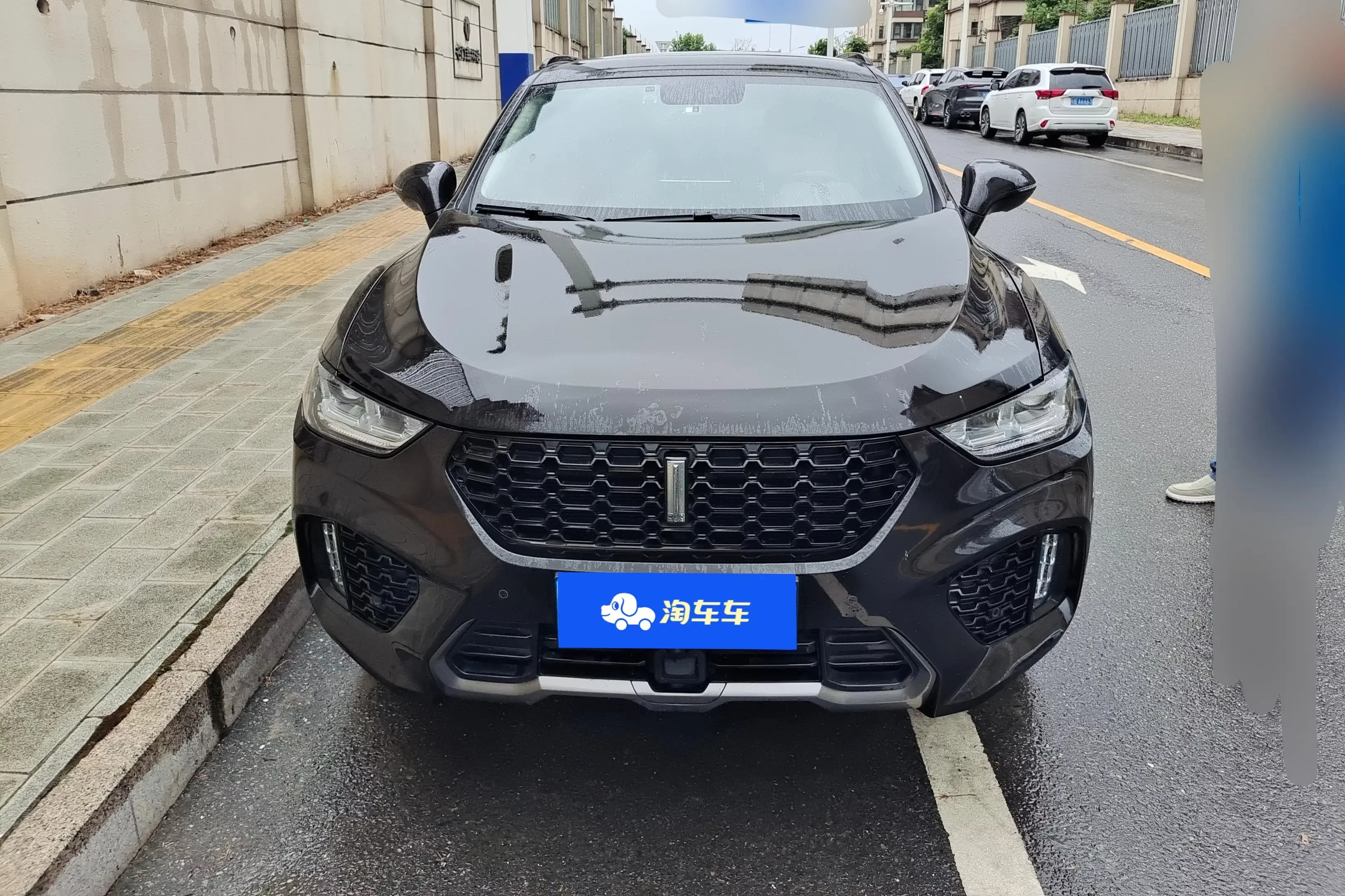 Wey Wei brand VV5