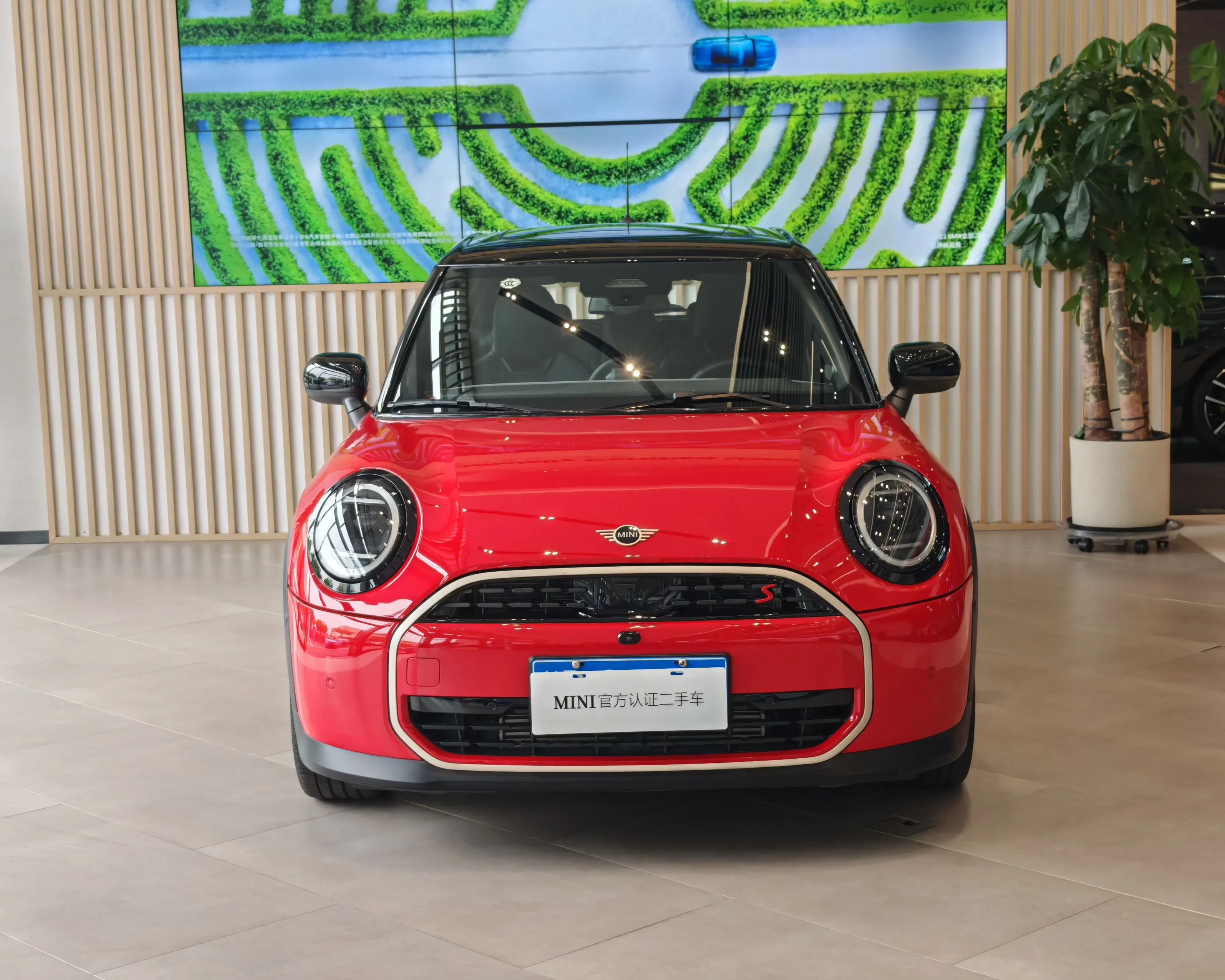 MINI 