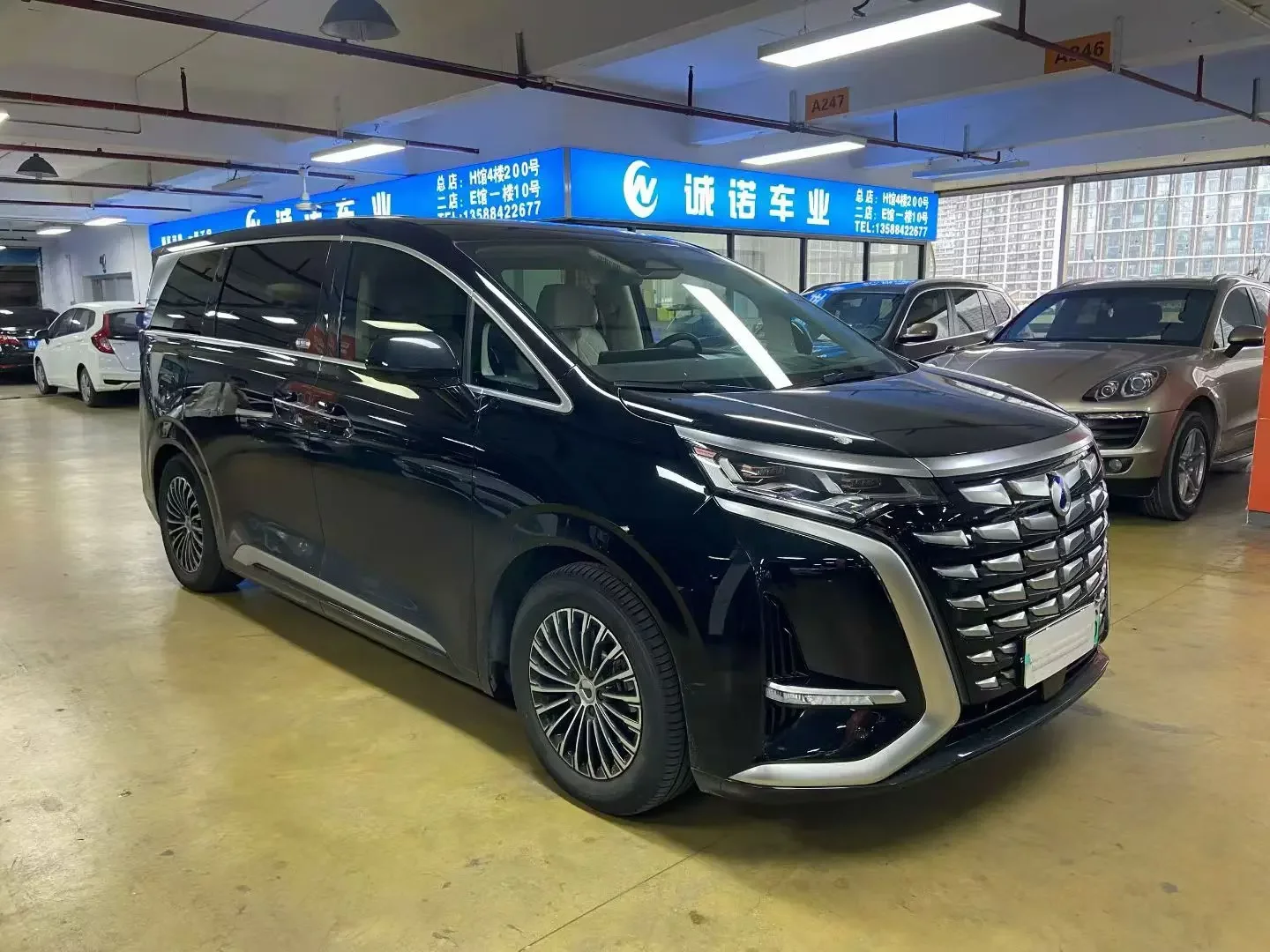 Denza D9 DM