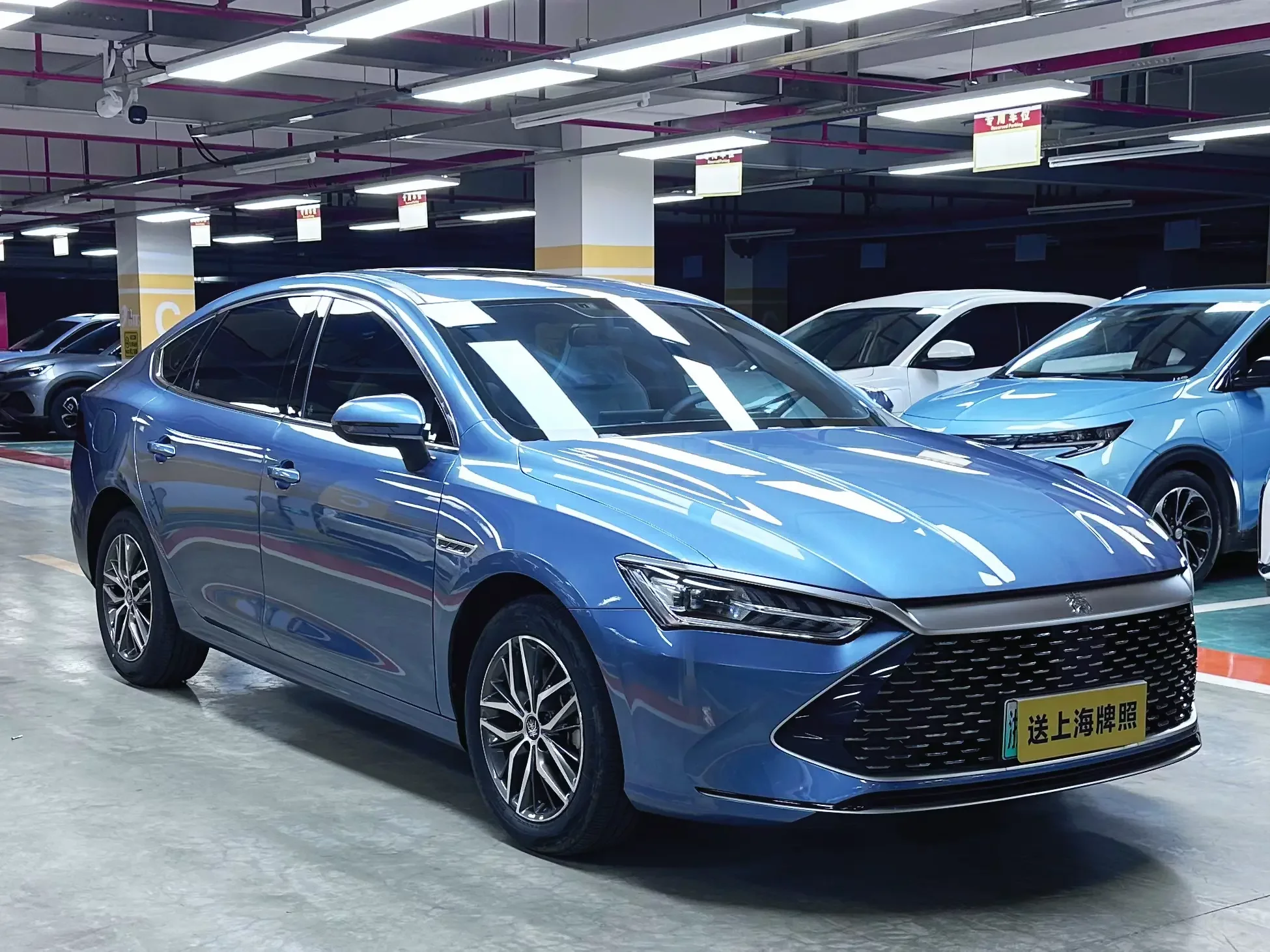 BYD Qin PLUS DM