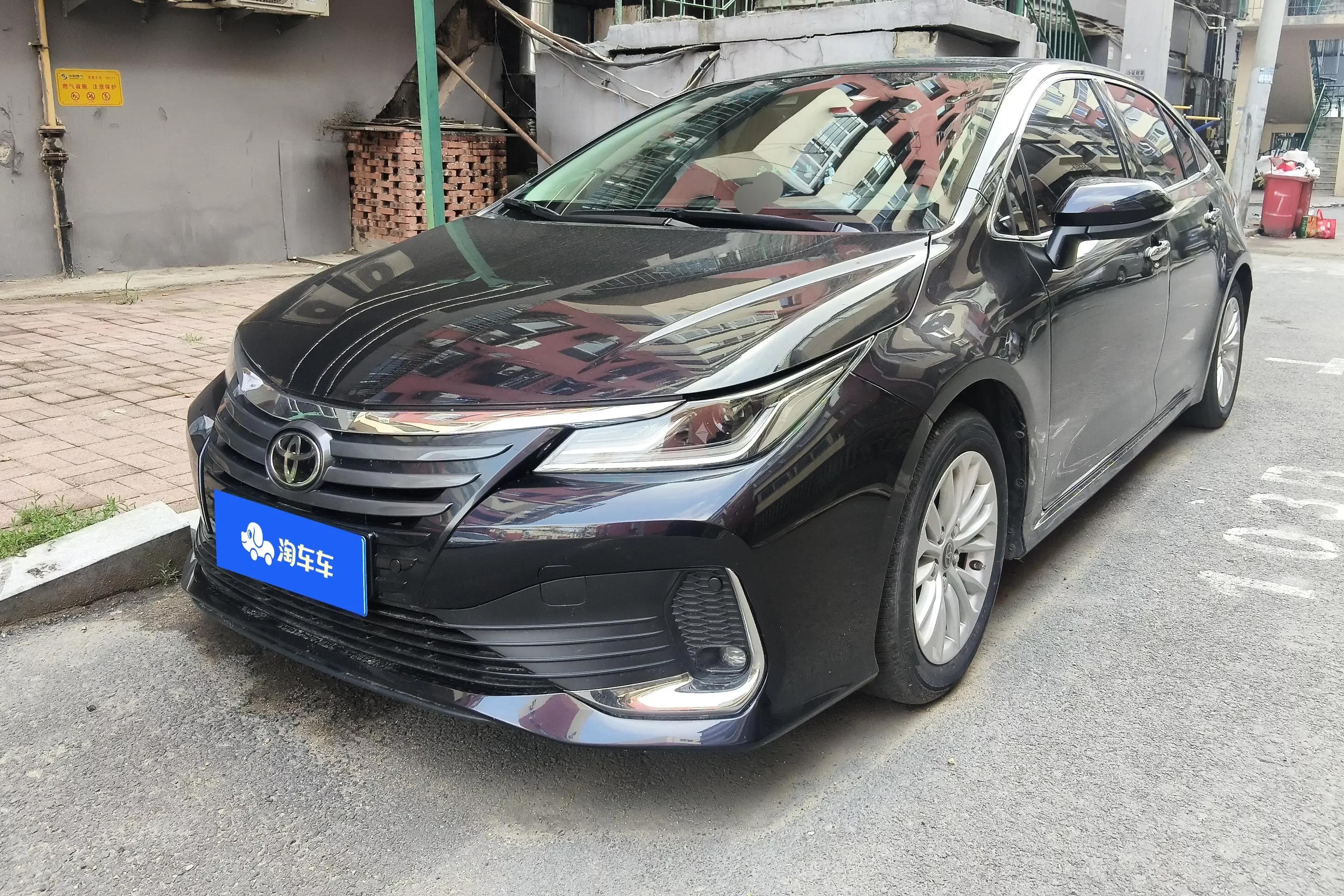 Toyota Asiatic lion