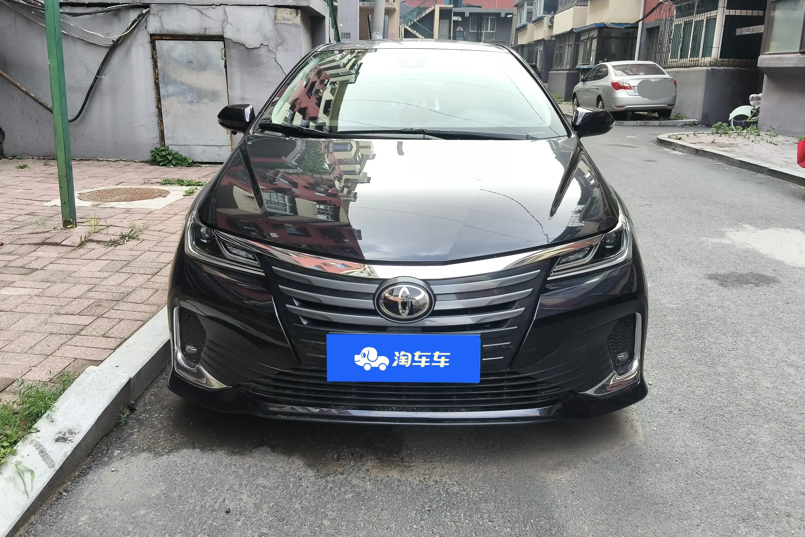 Toyota Asiatic lion
