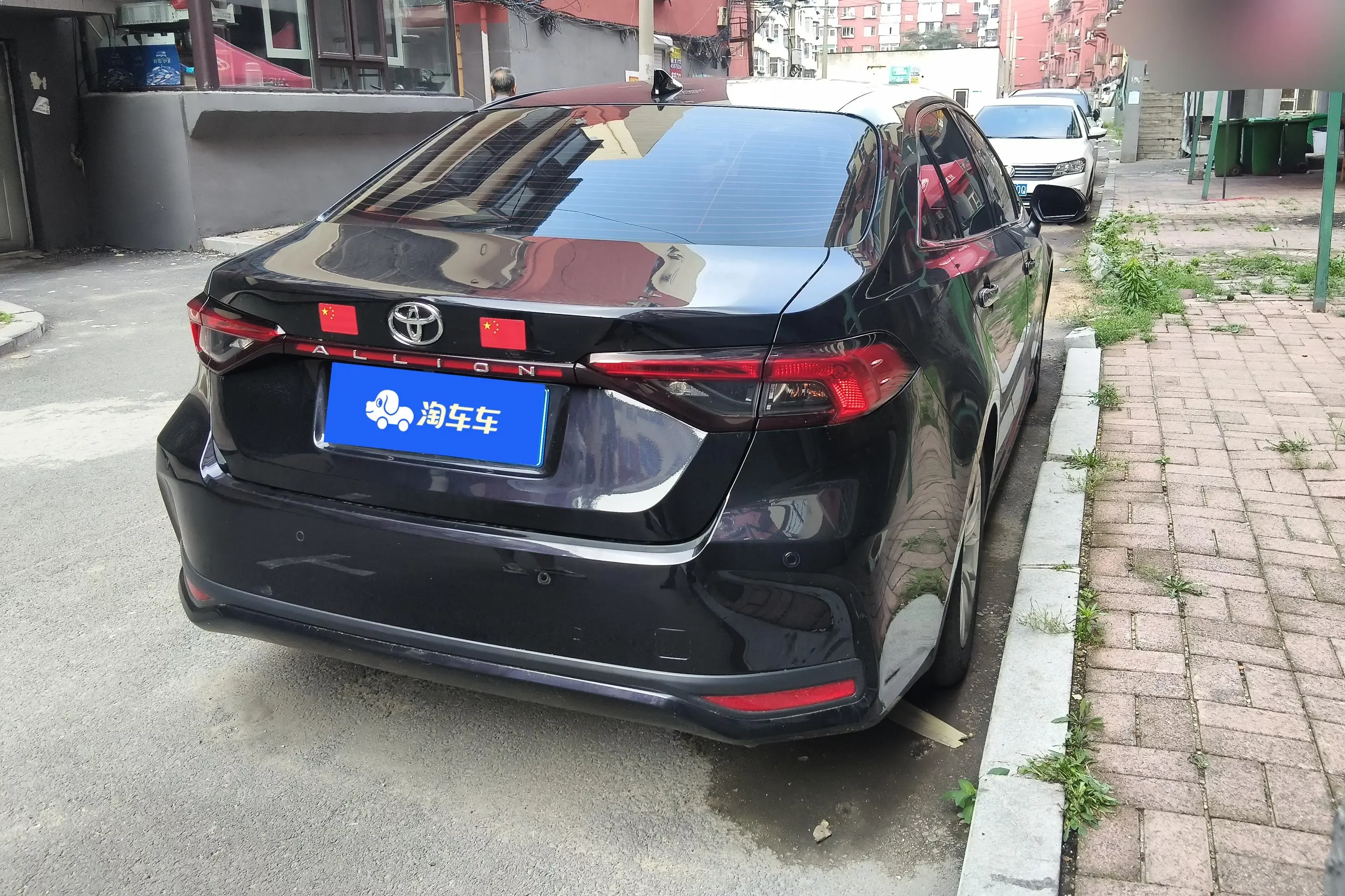 Toyota Asiatic lion