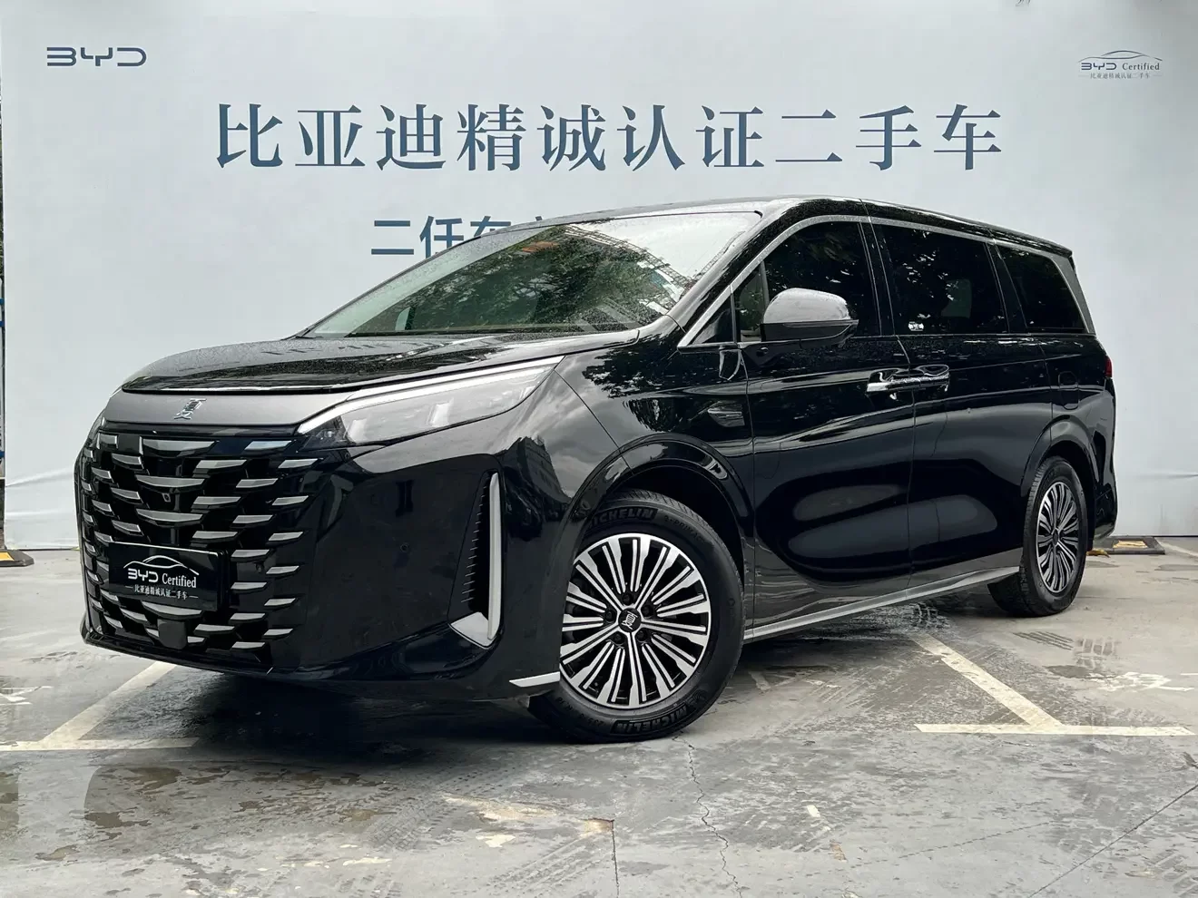 BYD summer