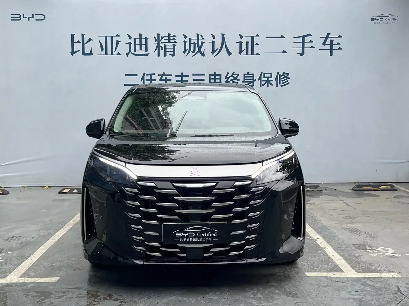 BYD summer
