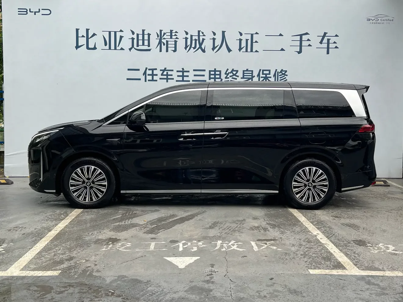 BYD summer
