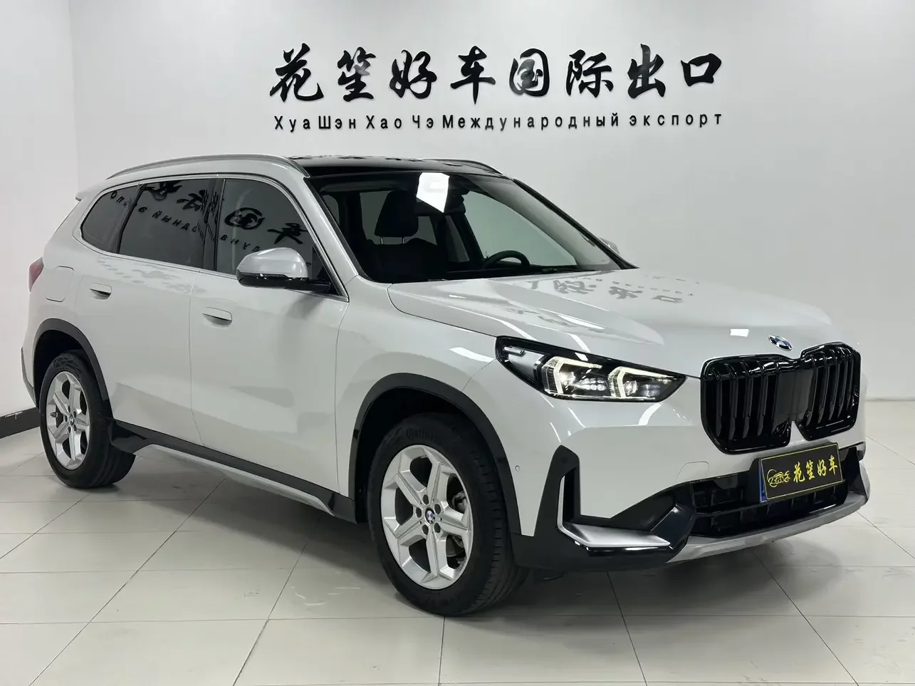 BMW X1