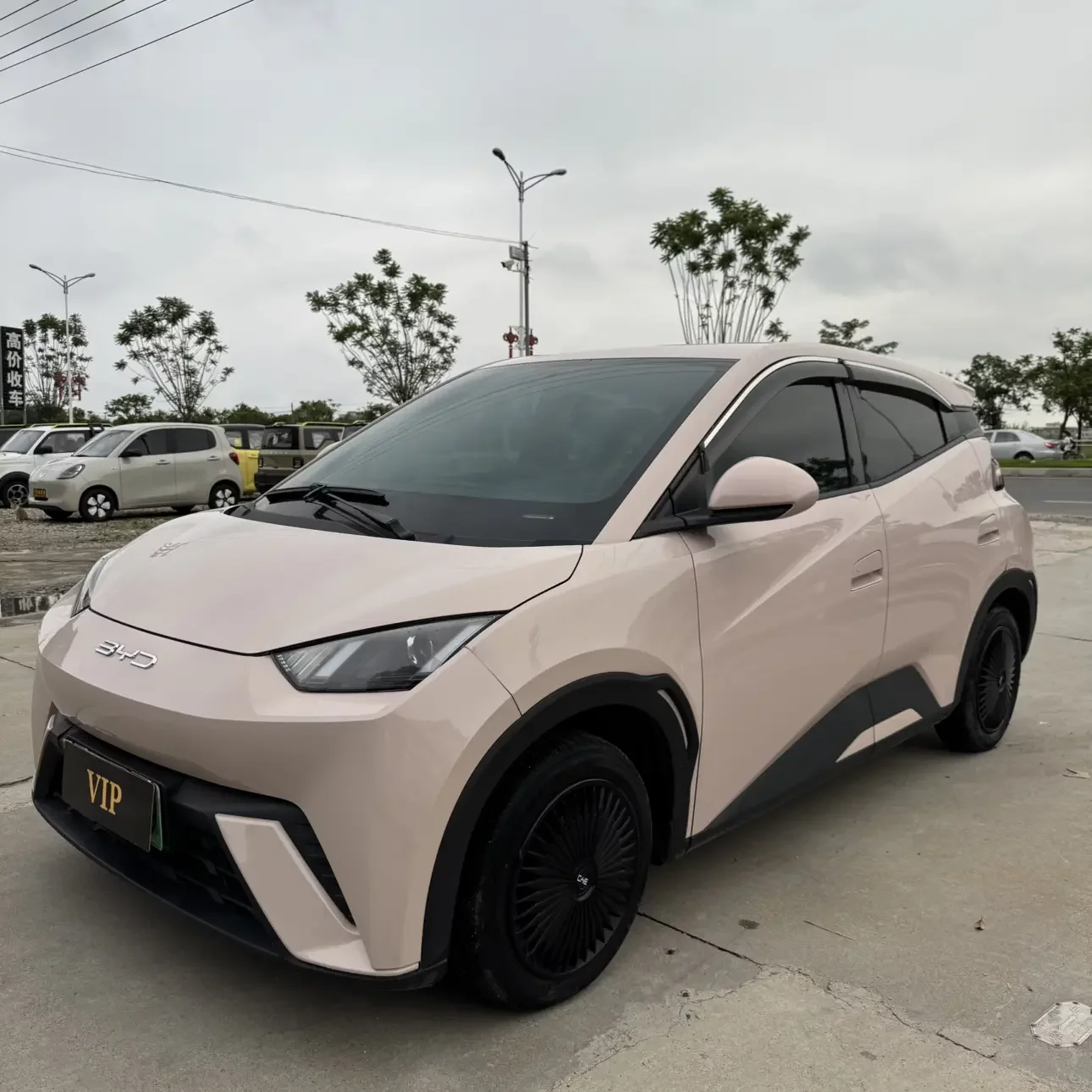 BYD seagull