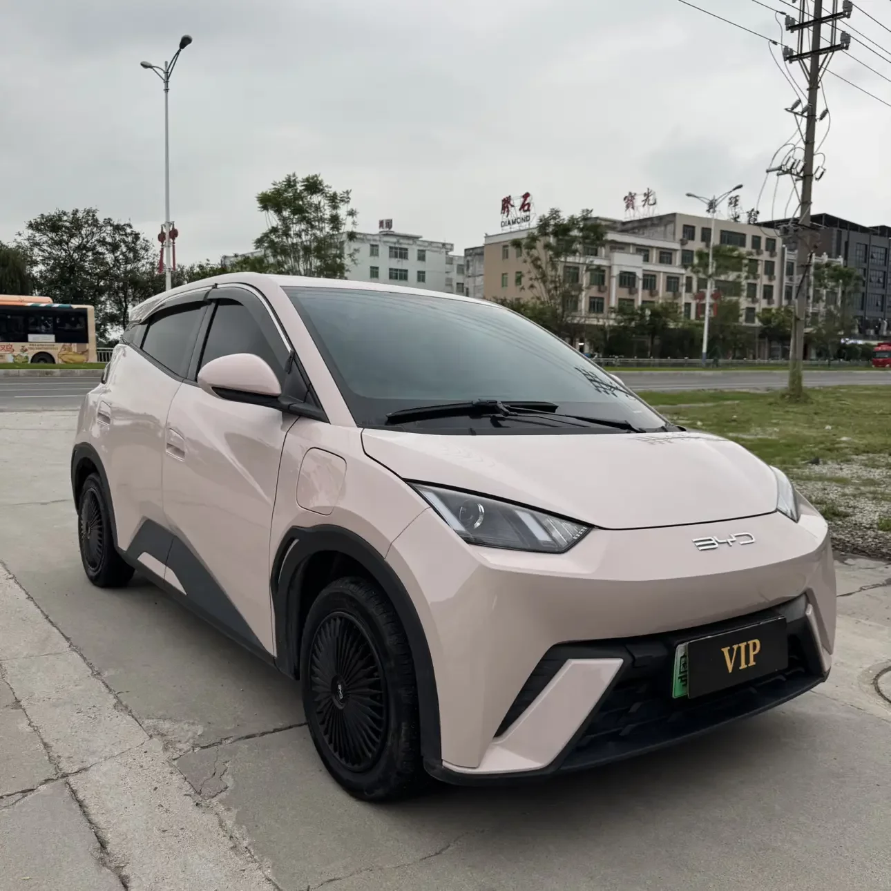 BYD seagull
