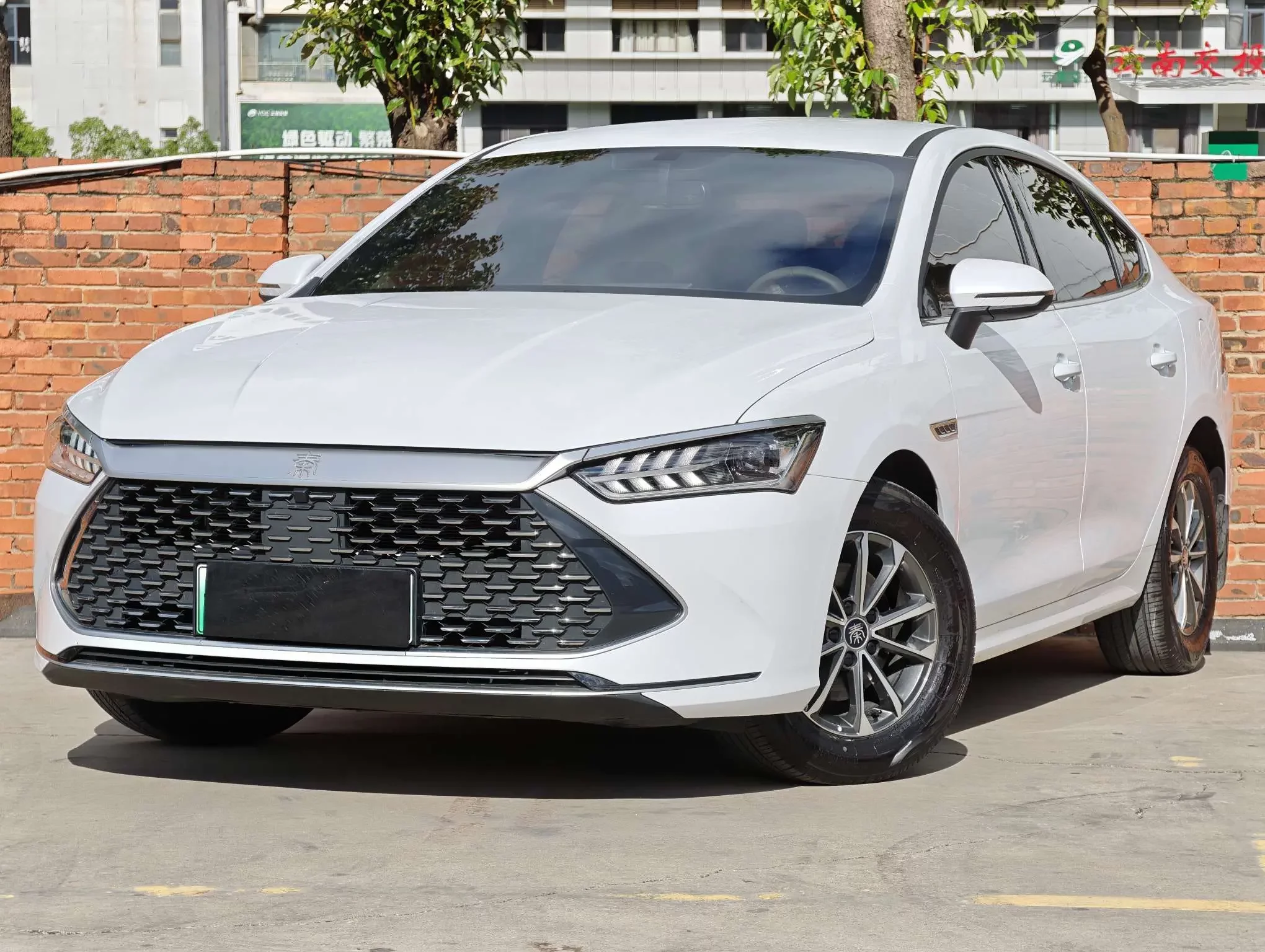 BYD Qin PLUS DM
