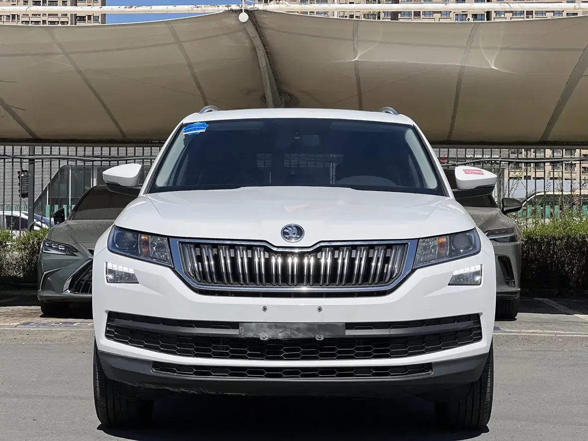 Skoda Kodiaq  из Китая