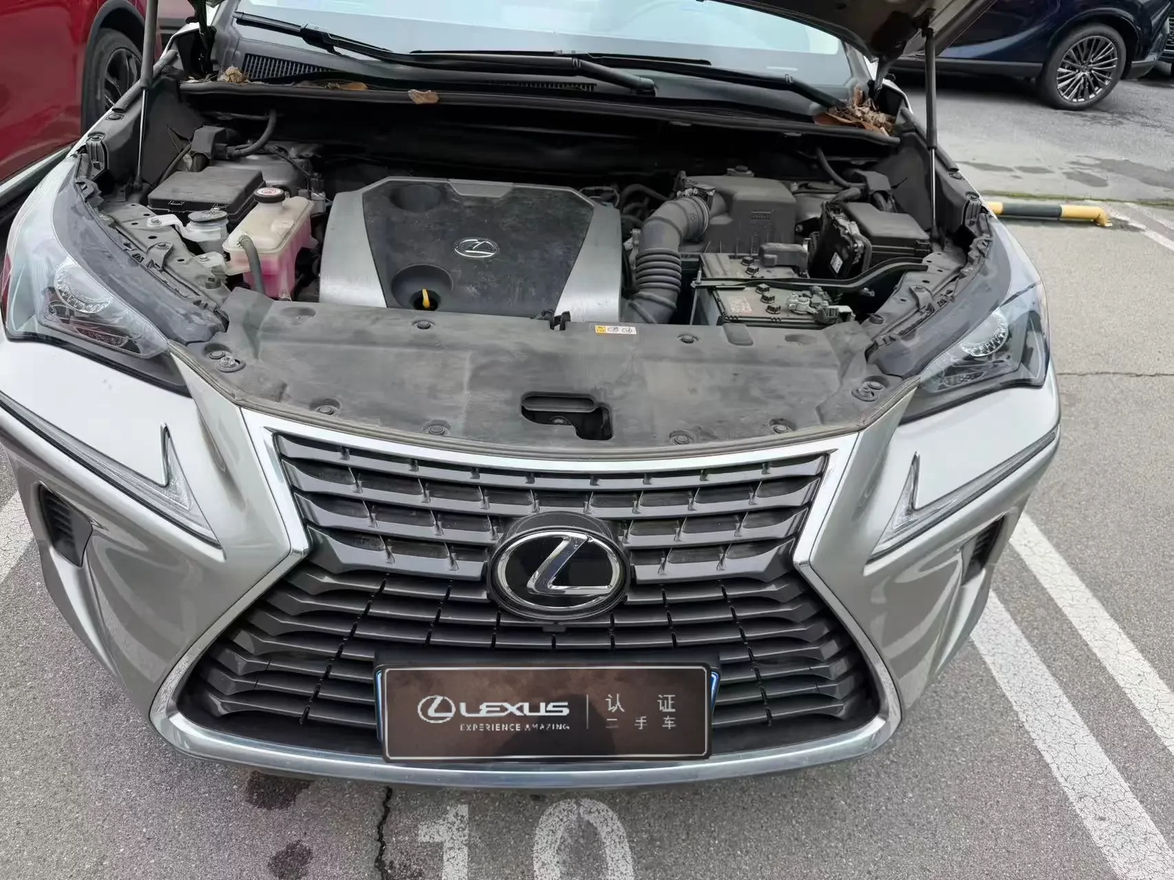 Lexus NX