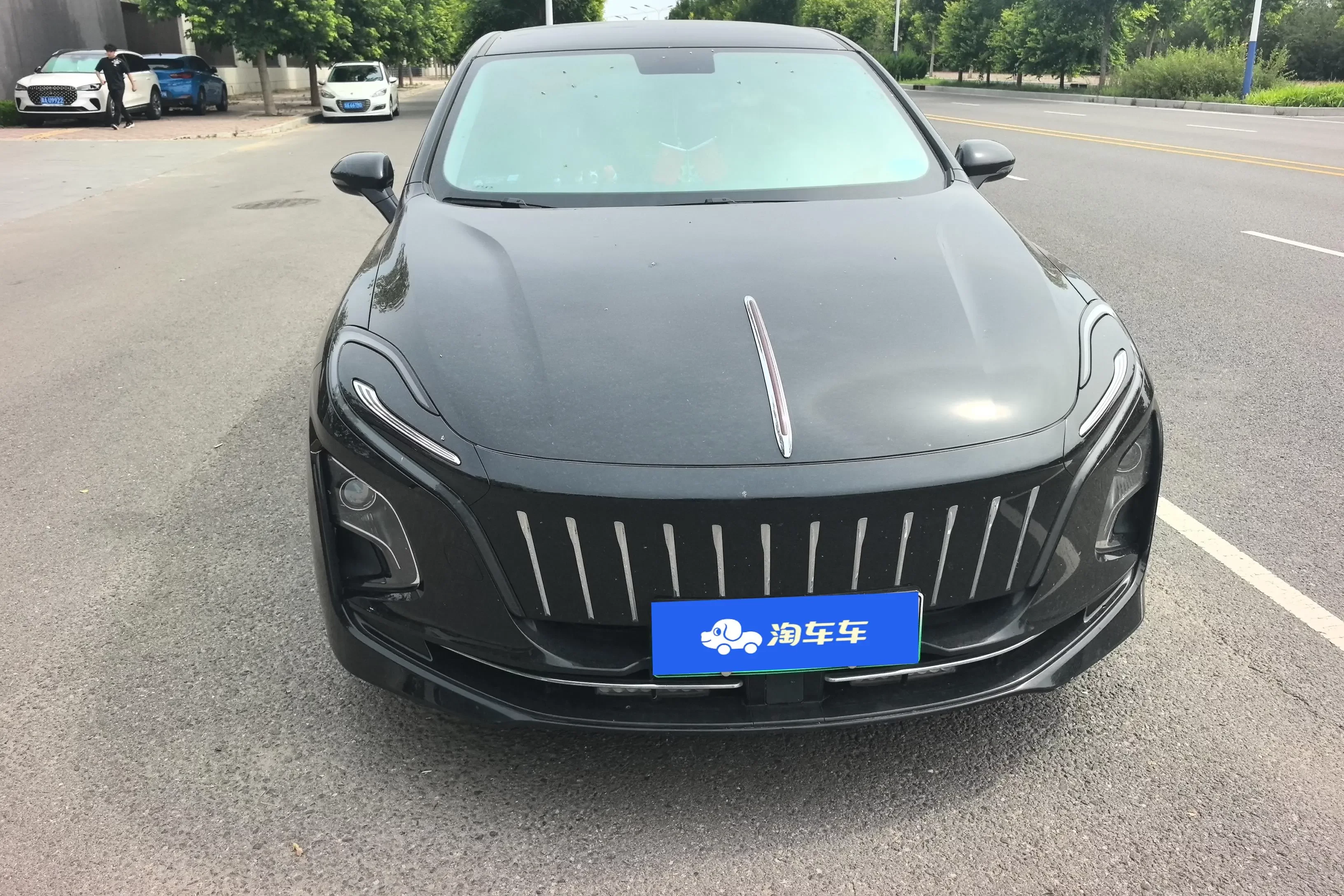 Hongqi E-QM5