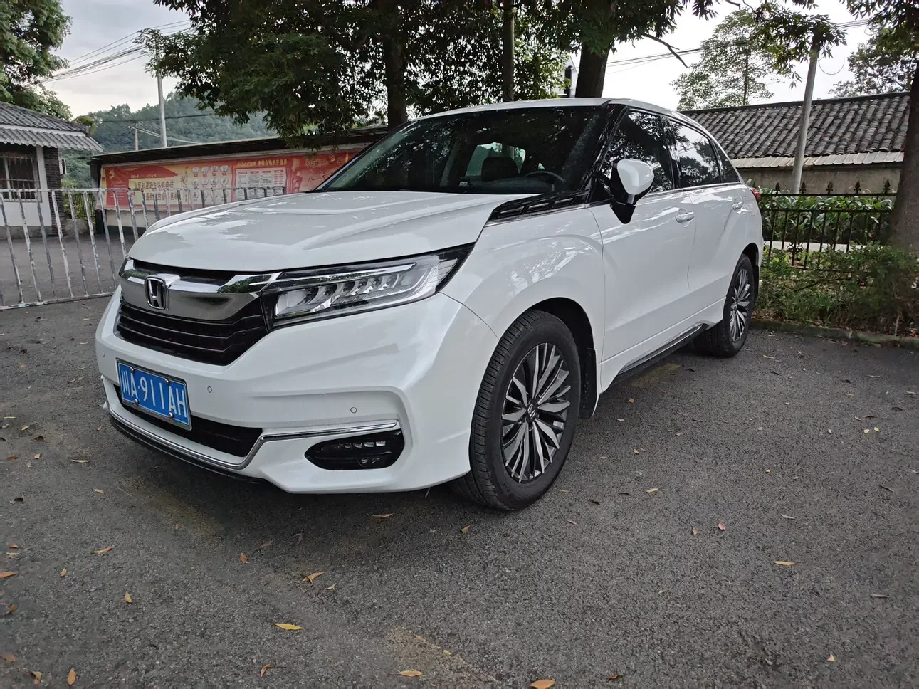 Honda Avancier