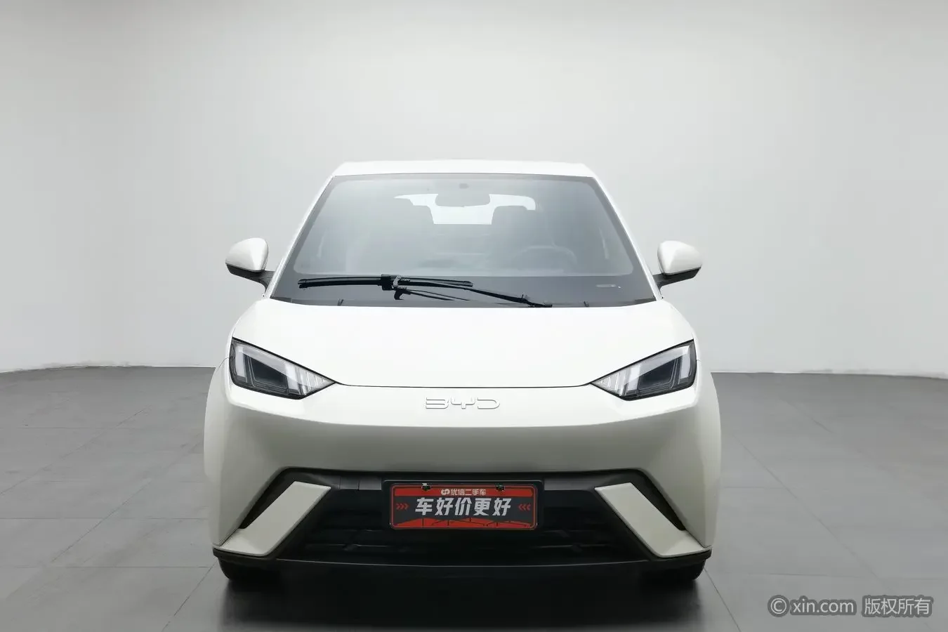 BYD seagull