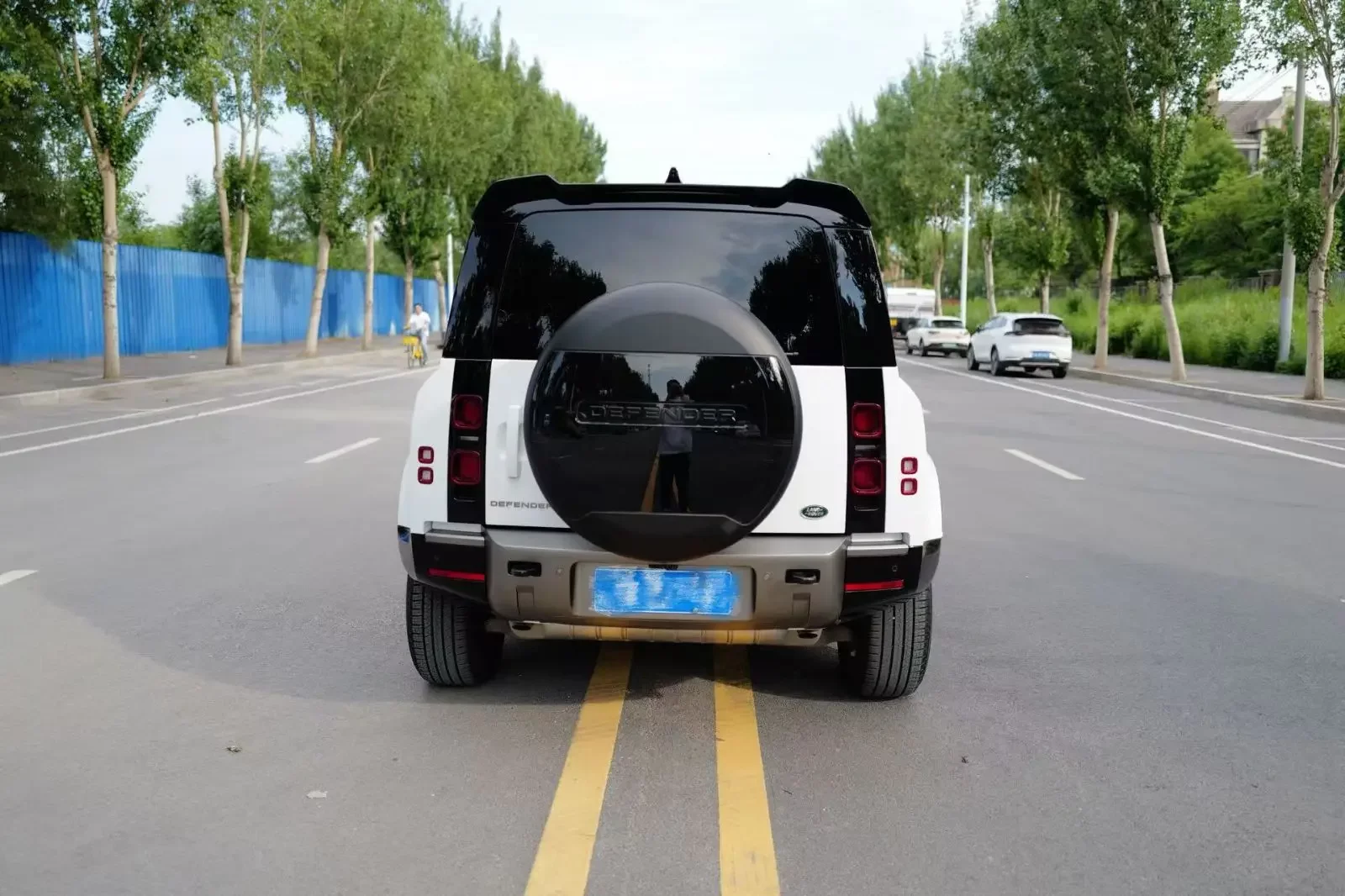 Land Rover guard