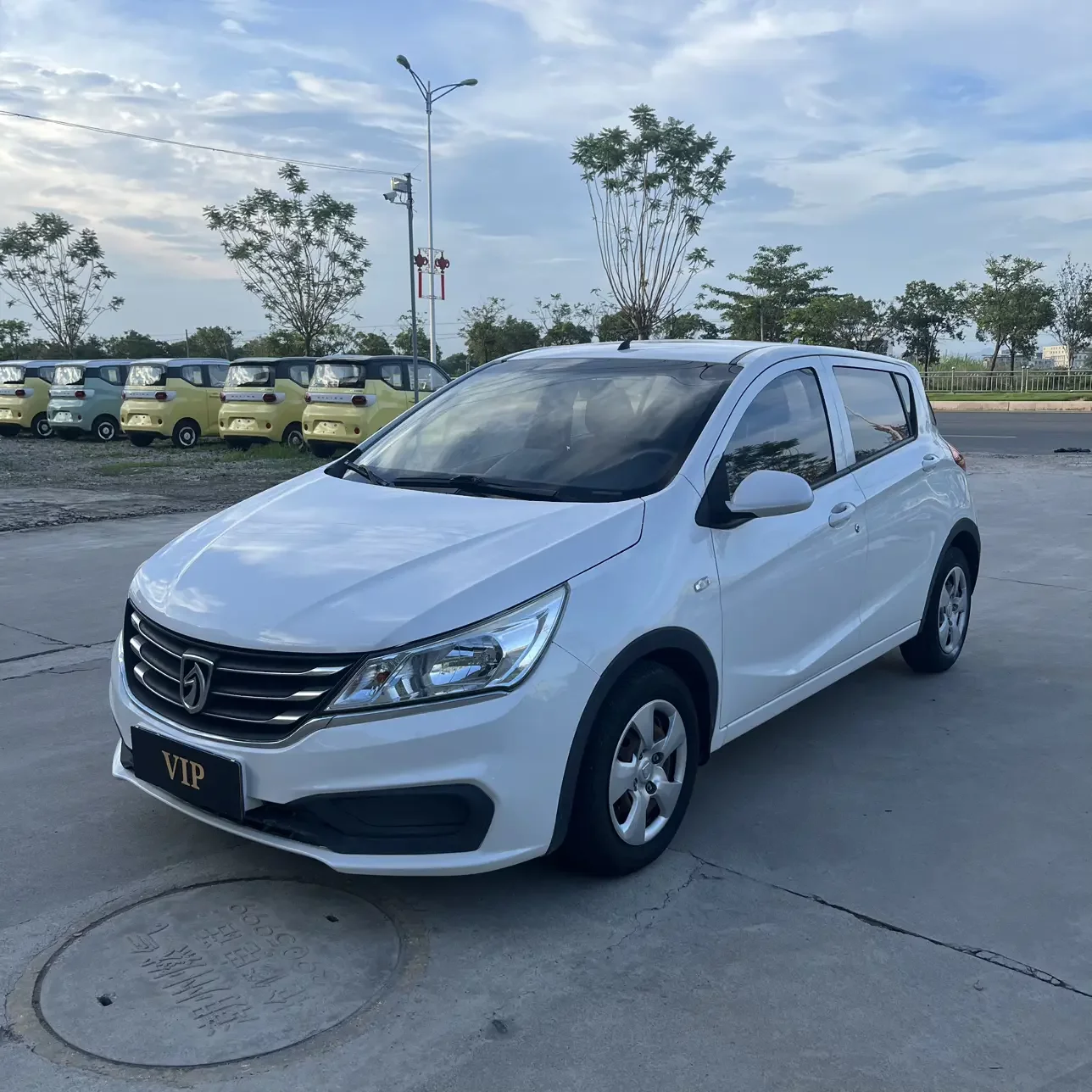 Baojun 310