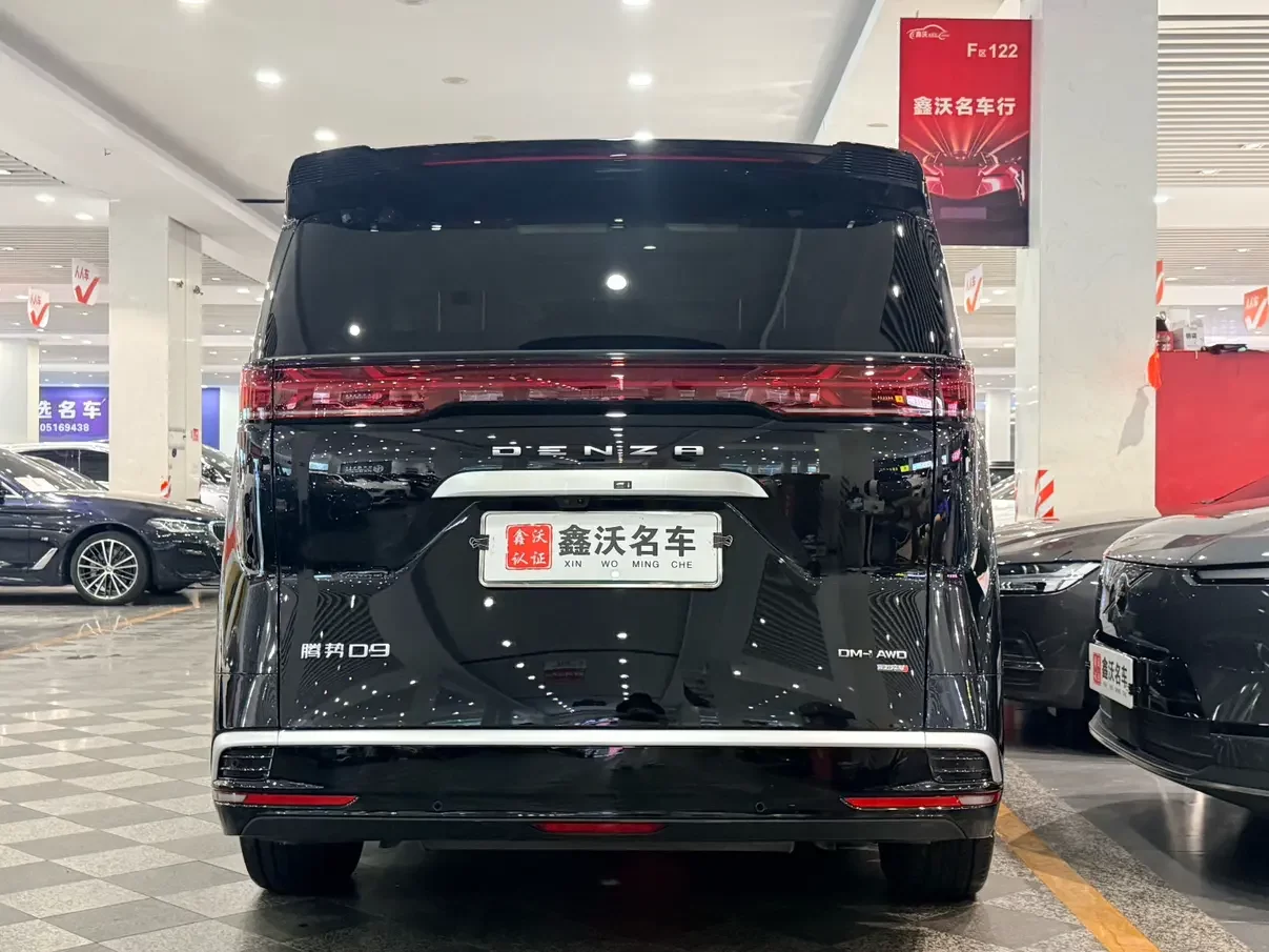 Denza D9 DM