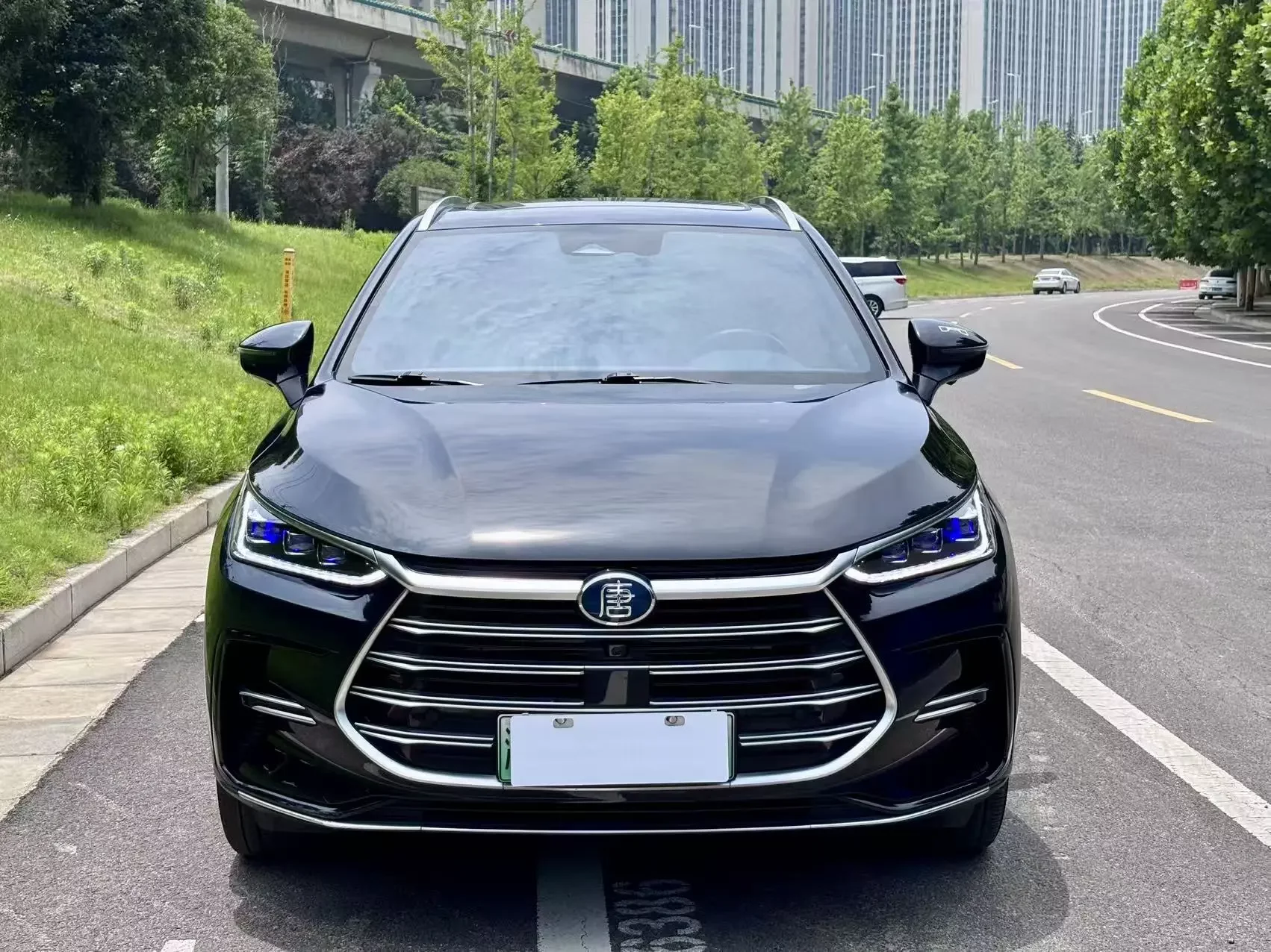 BYD Tang DM