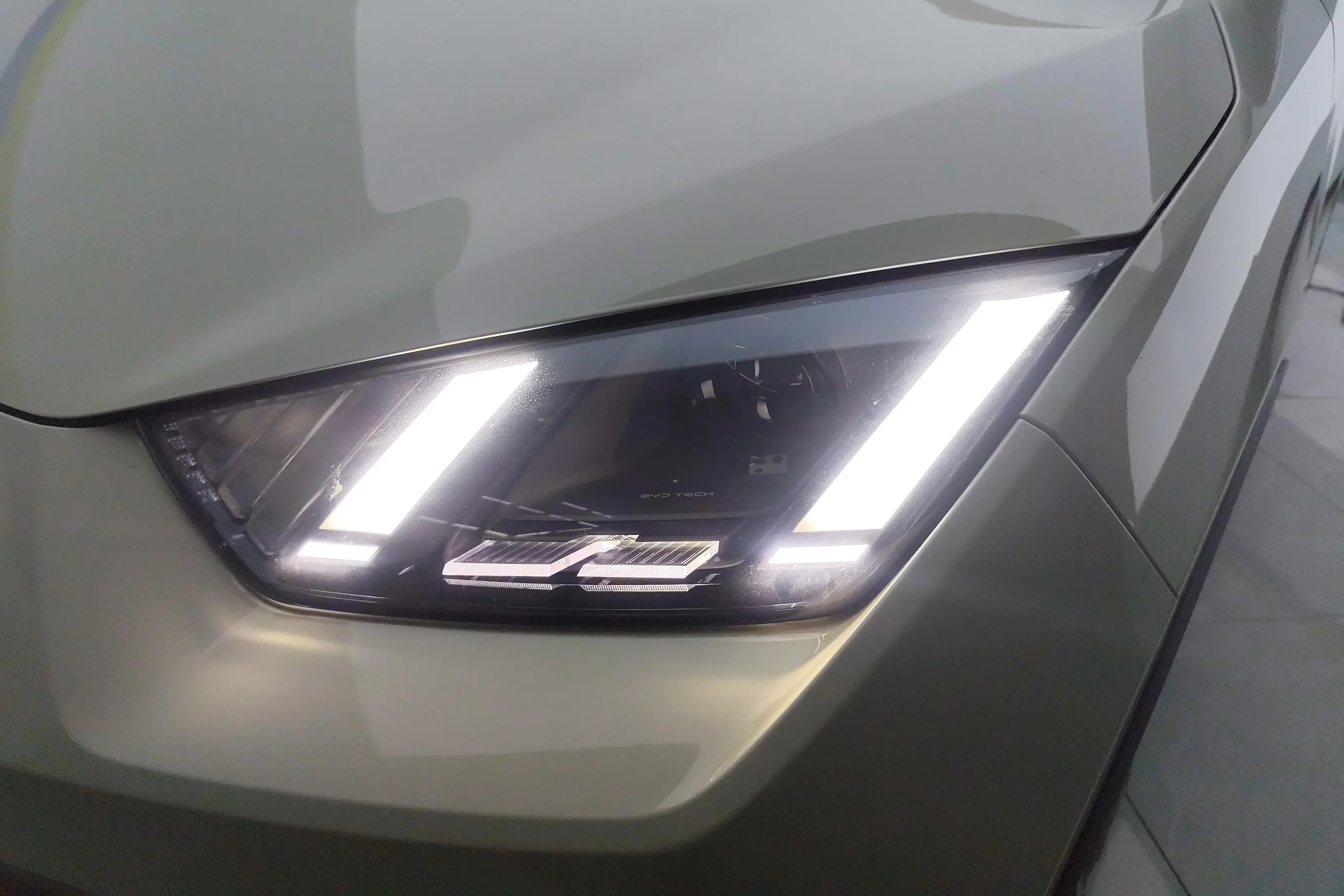 BYD seagull