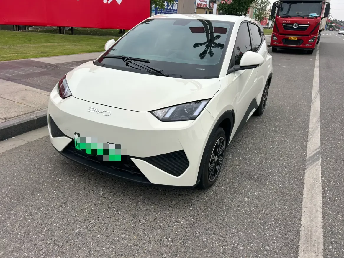 BYD seagull