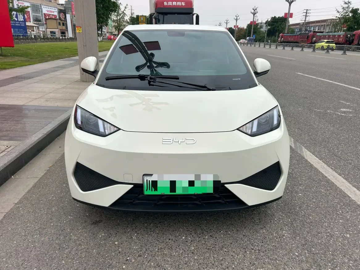 BYD seagull