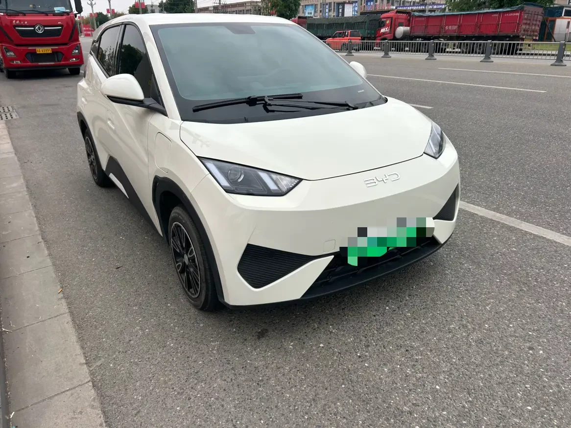 BYD seagull