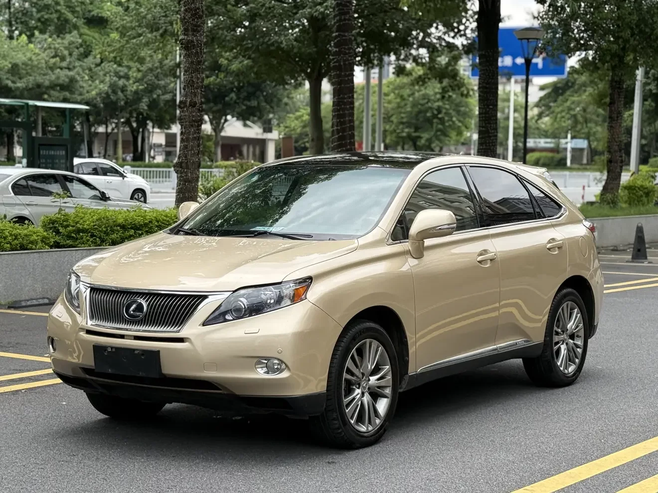 Lexus RX Classic
