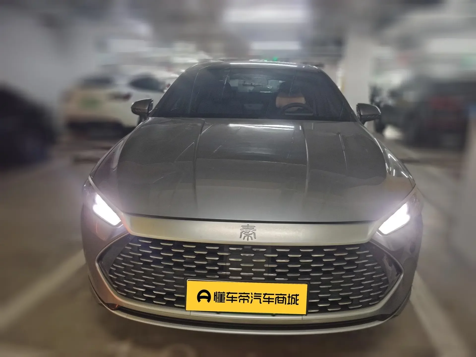 BYD Qin PLUS DM