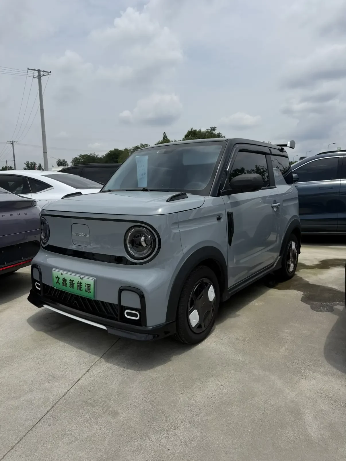 Geely panda