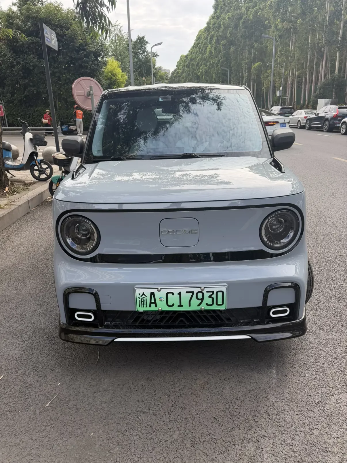 Geely panda