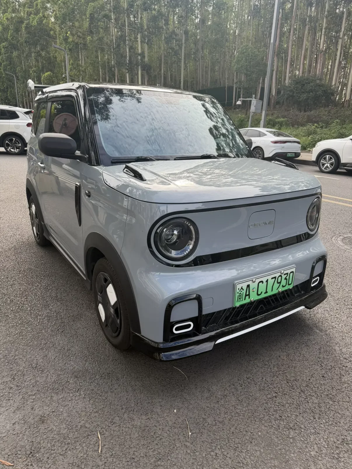 Geely panda