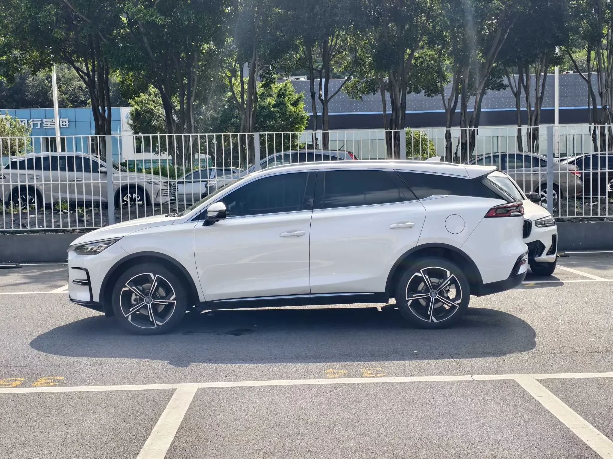 BYD Tang DM