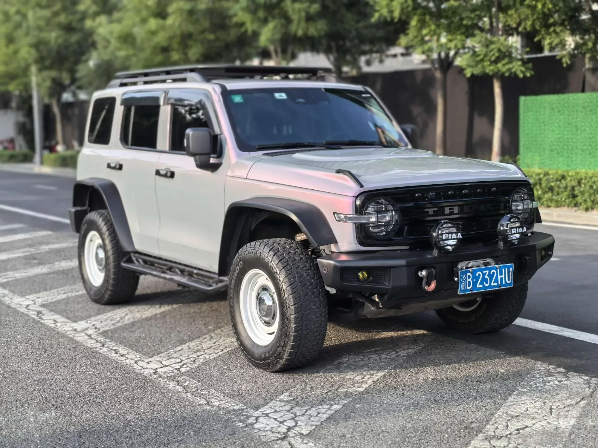 Tank 300
