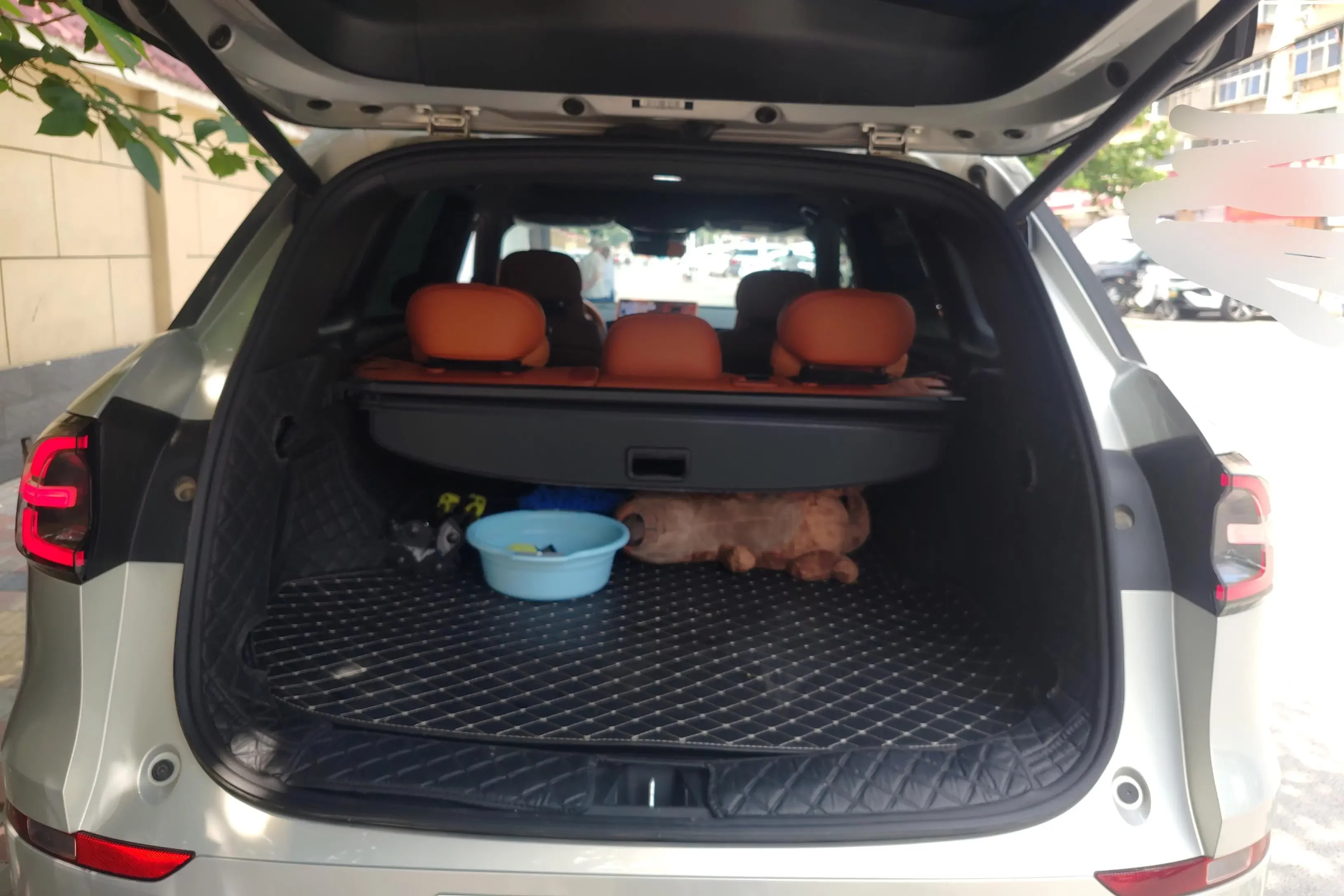catalog-car-17