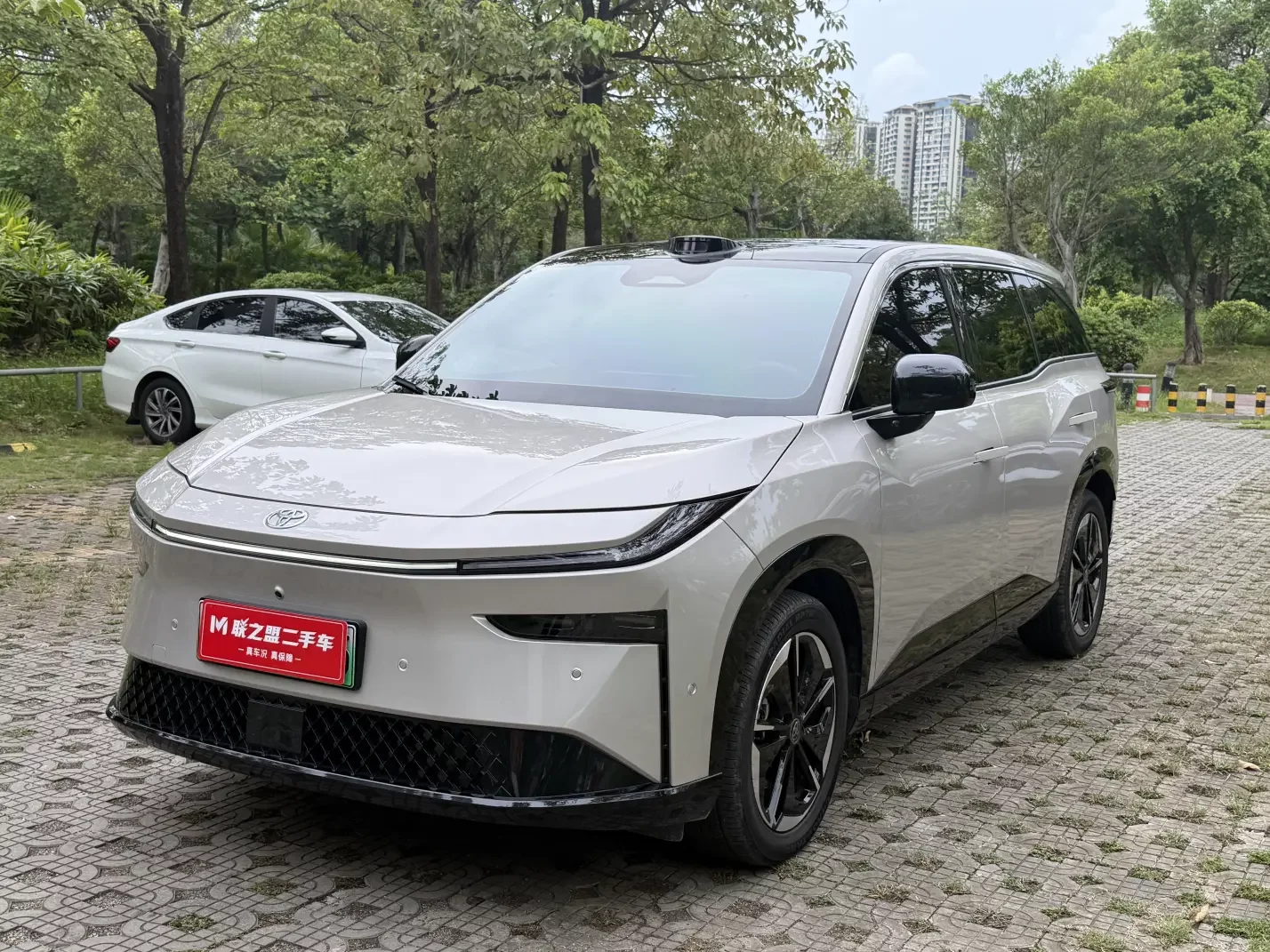 Toyota Bozhi 3X