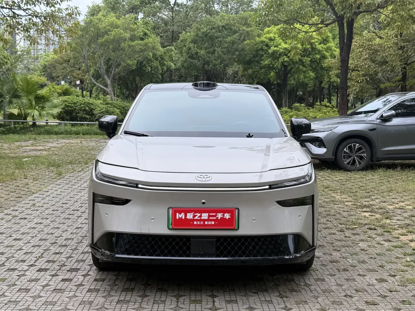 Toyota Bozhi 3X