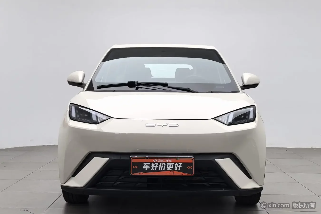 BYD seagull