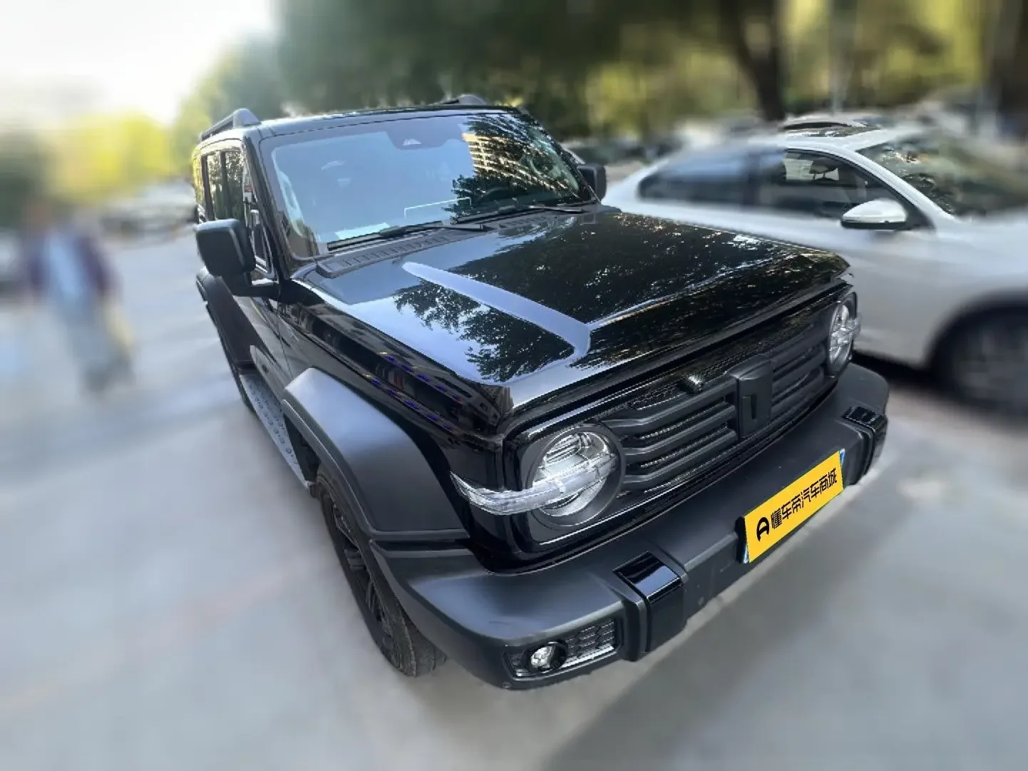 Tank 300