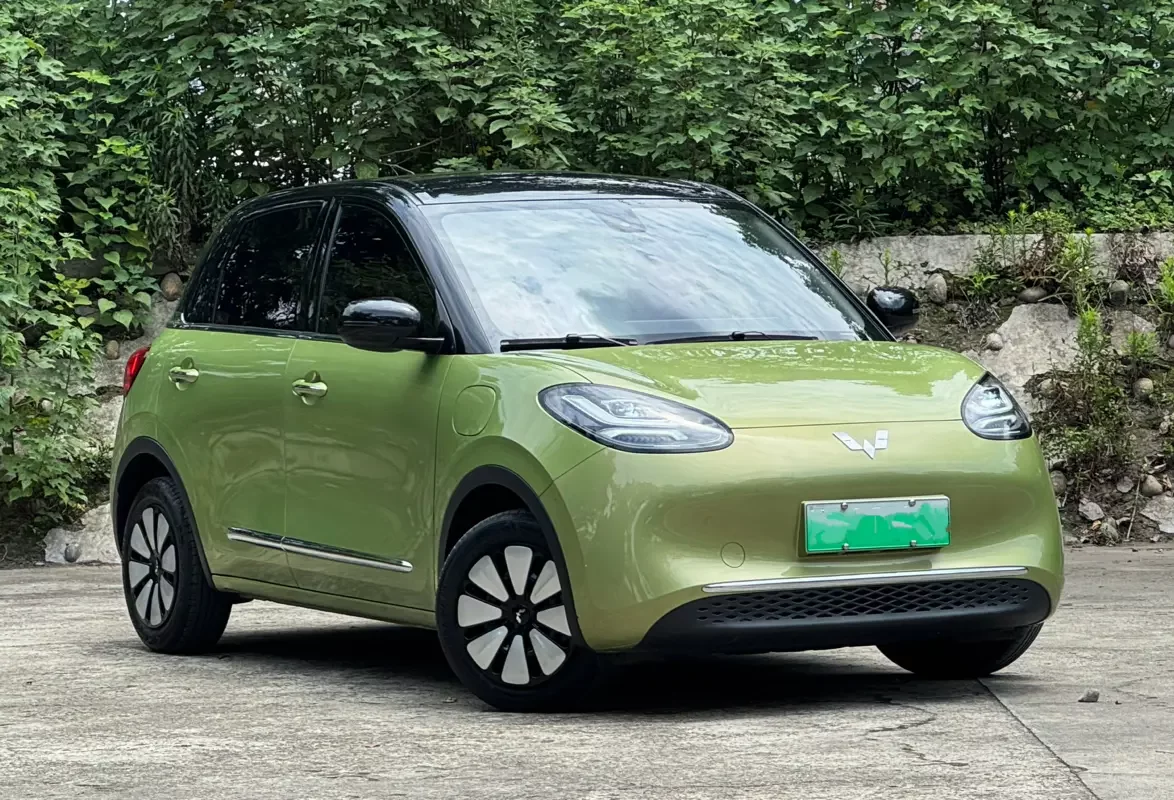 Wuling Bingo