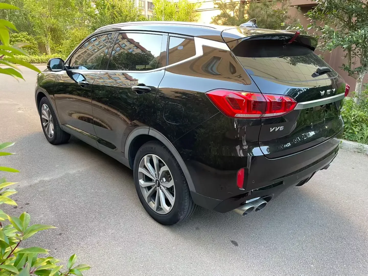 Wey Wei brand VV6