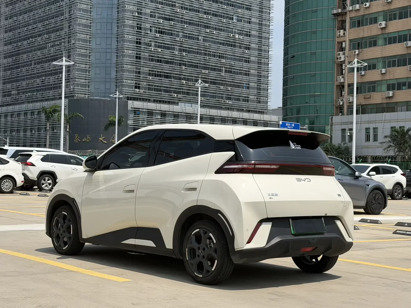 BYD seagull