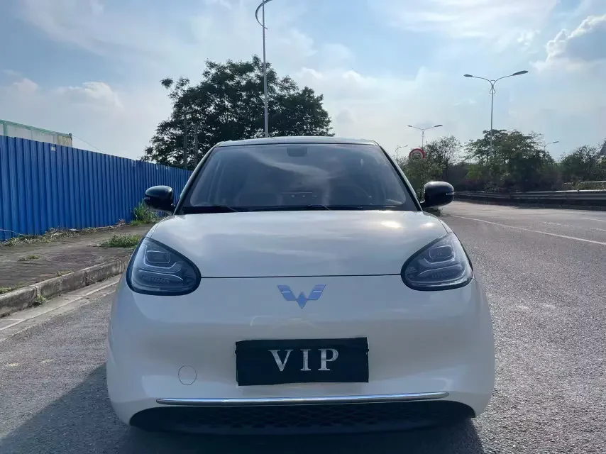 Wuling Bingo