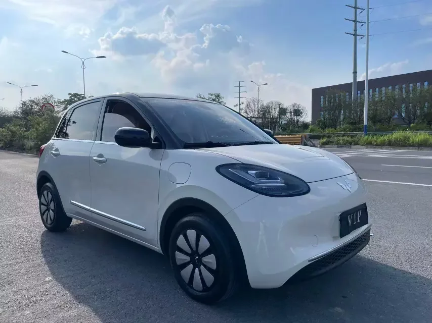 Wuling Bingo